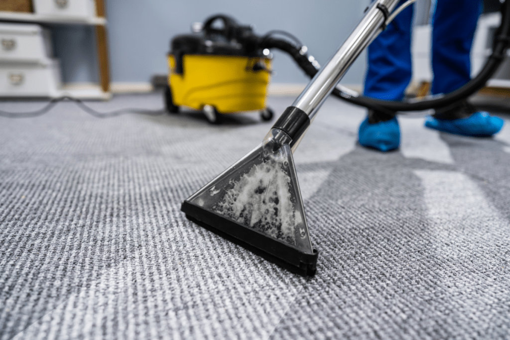 Professional Carpet Cleaning