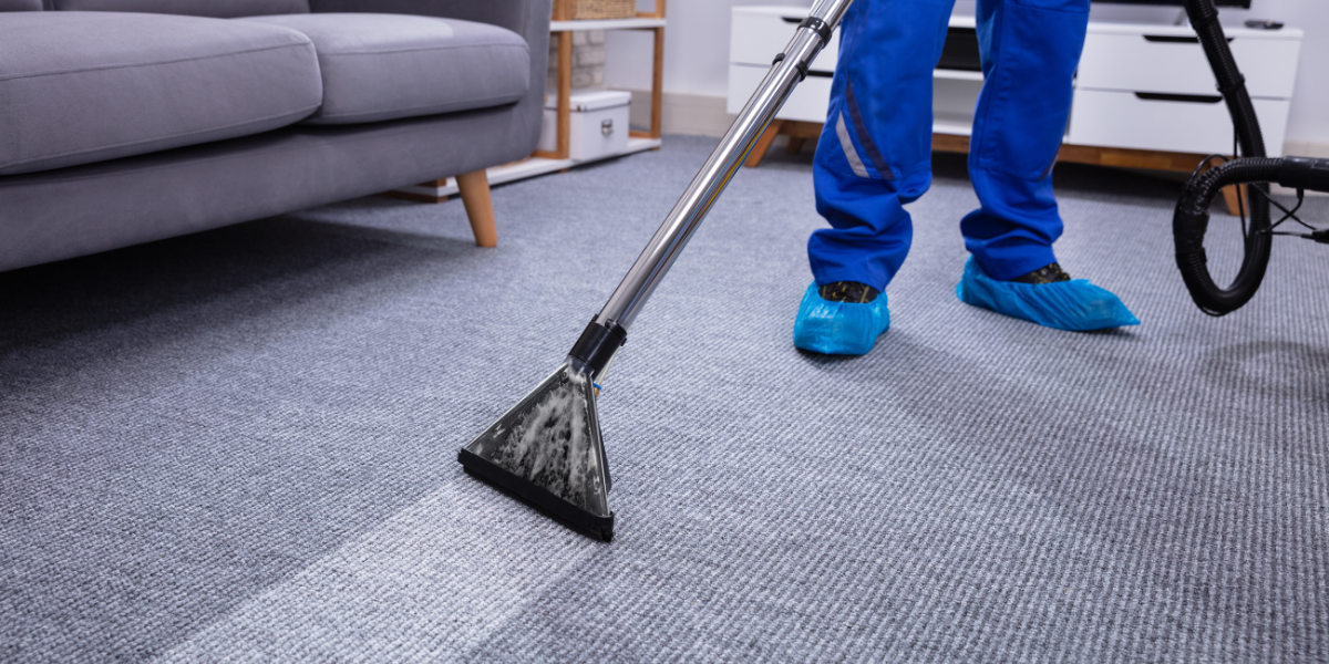 Black and White Sand Dunes Blog Header (315 × 560 px) The 5 Best Cleaning Carpet Practices