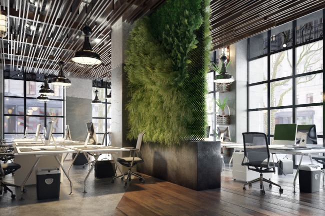 Commercial Cleaning Services